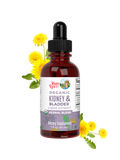 Organic Kidney & Bladder Herbal Blend Liquid Drops