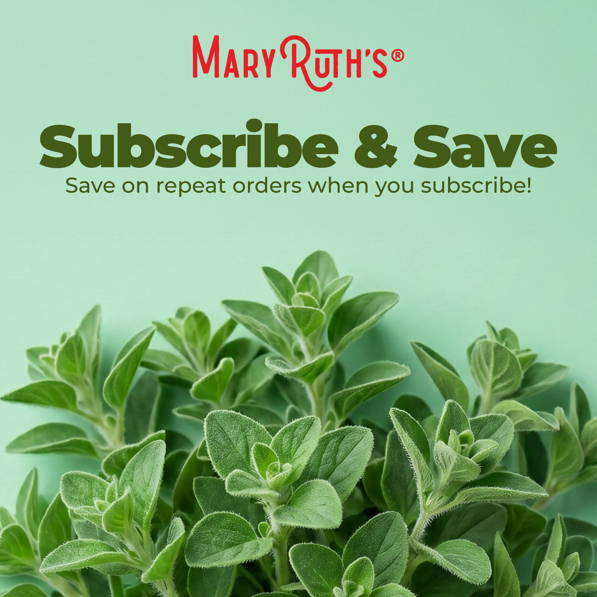 Organic Oil of Oregano Liquid Drops 1oz Unflavored Subscribe & Save