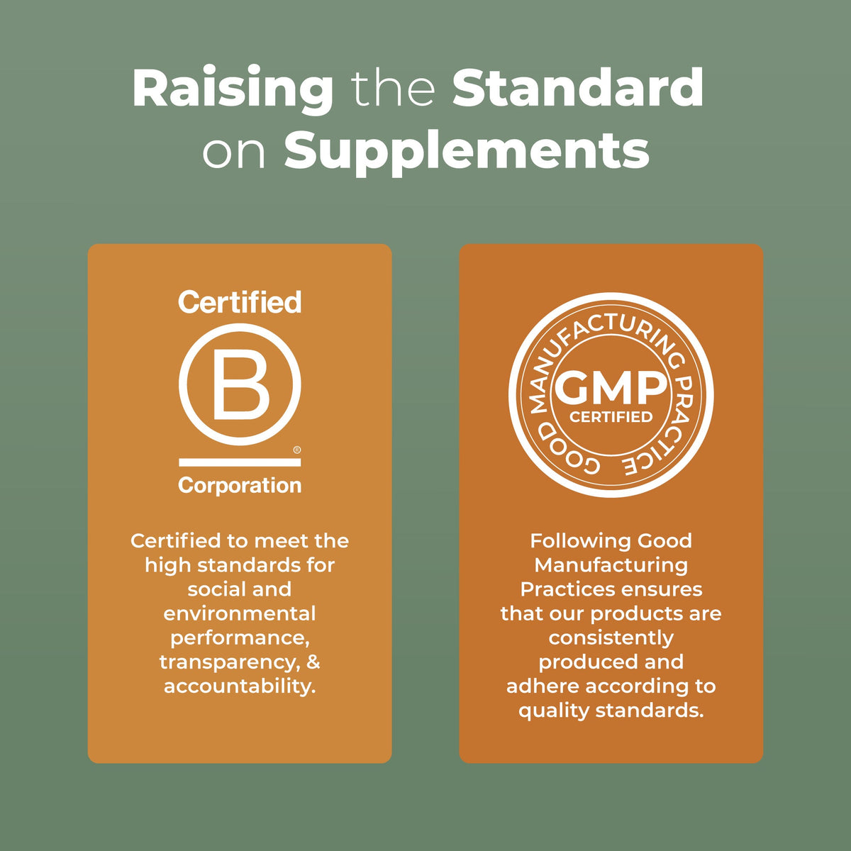 Reishi Mushroom Liposomal 7oz Candied Pecan Clean Label