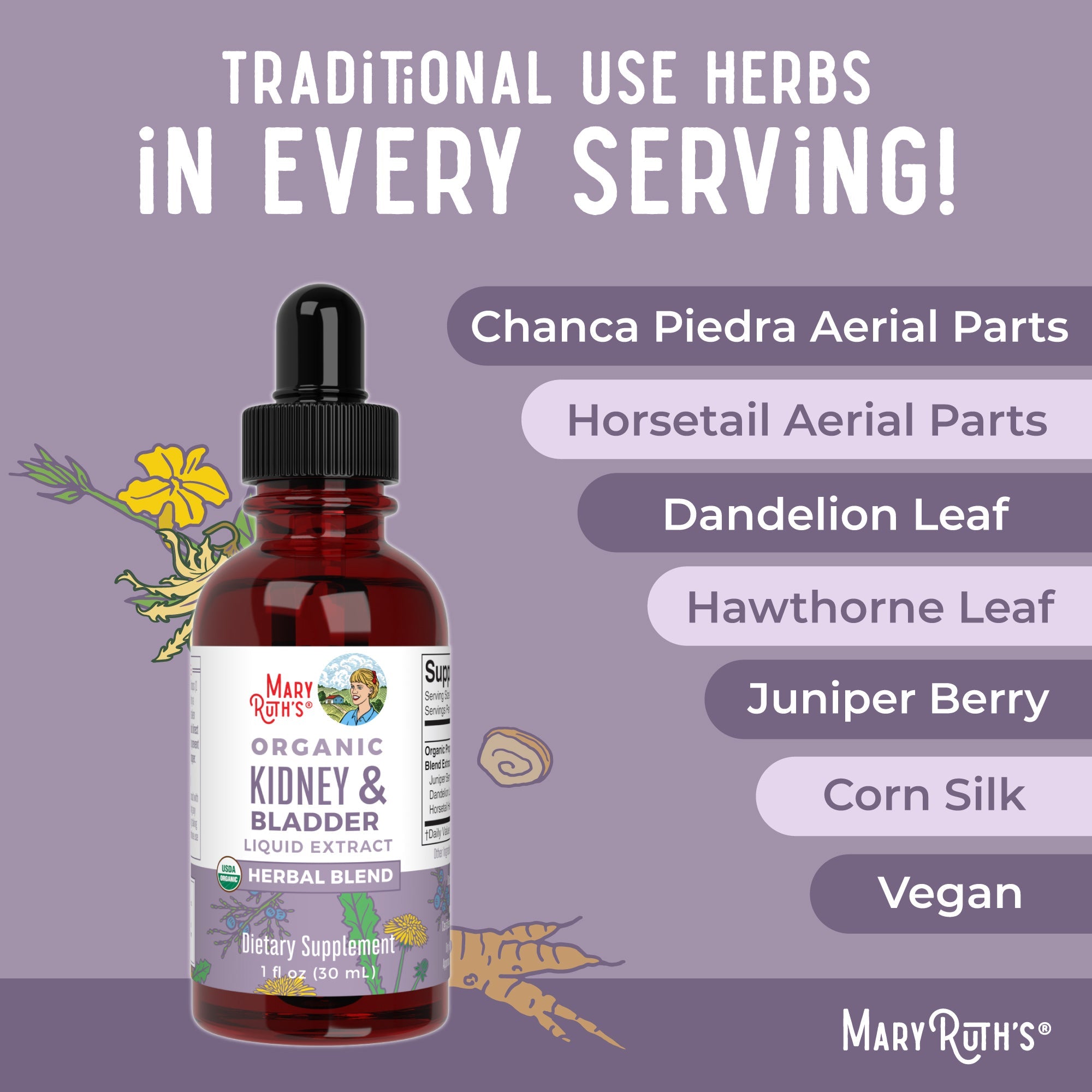 Organic Kidney & Bladder Herbal Blend Liquid Drops Ingredients
