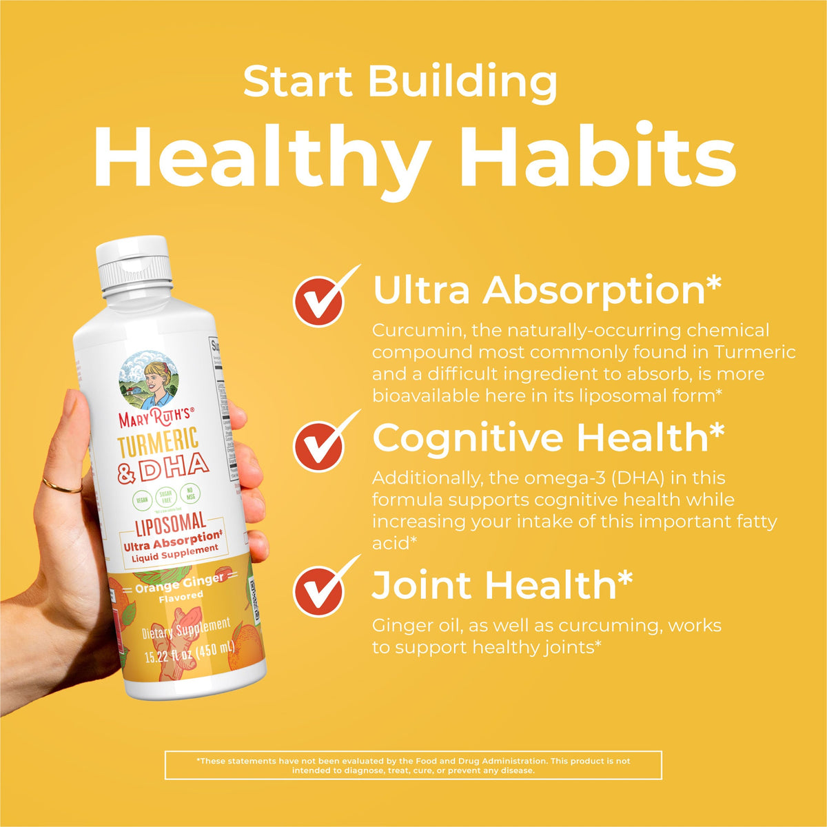Turmeric & DHA Liposomal (Orange Ginger) 15 oz Healthy Habits